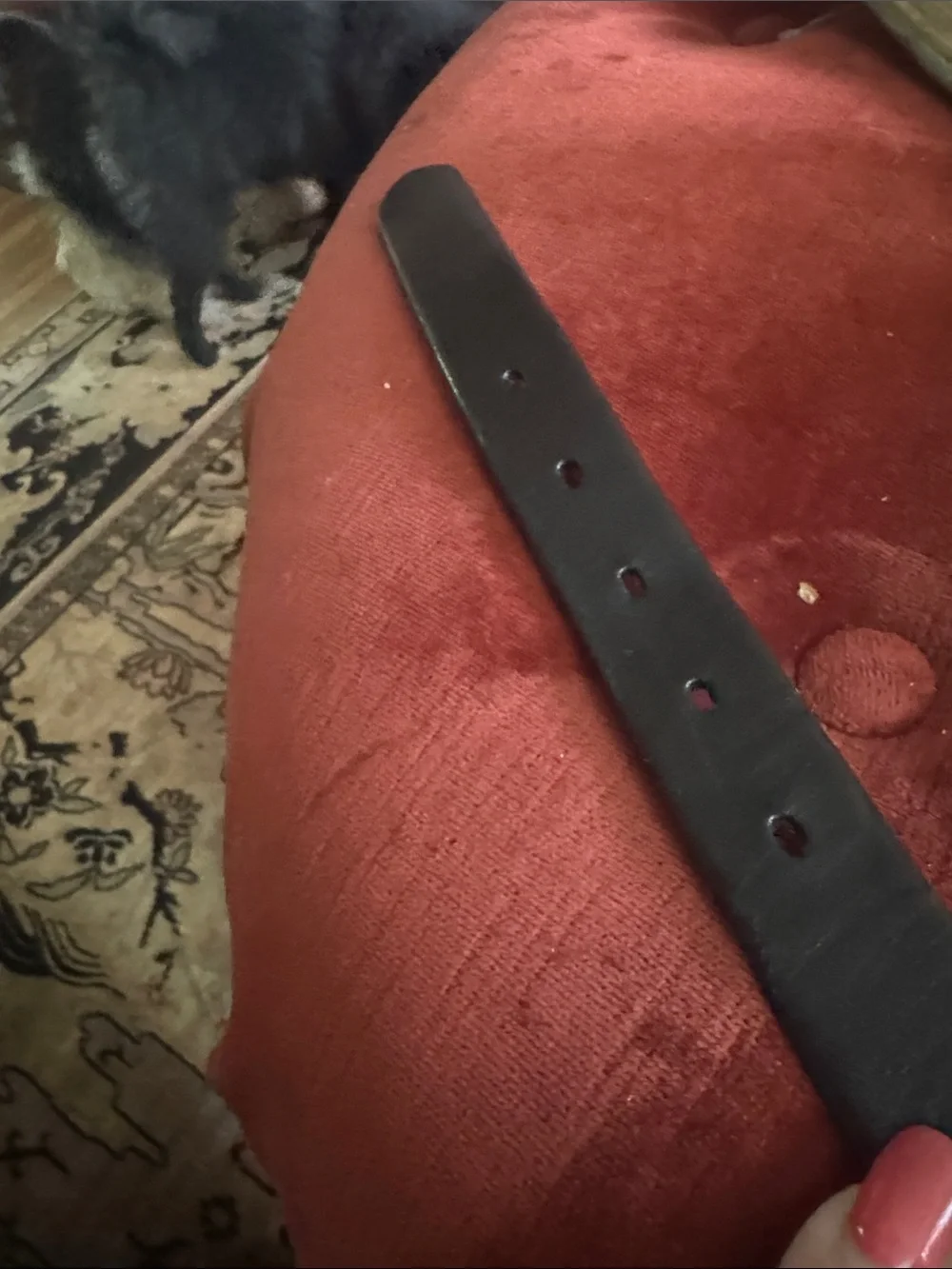 Banana Republic Black Leather Belt with Silver Oval Buckle